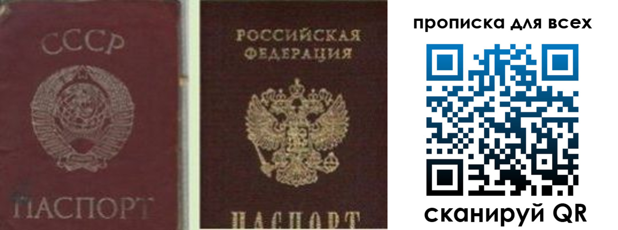 временная прописка в Светлограде